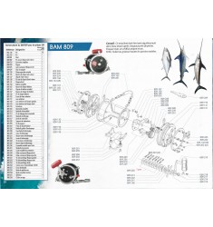 BAM 809 Moulinet Traine 